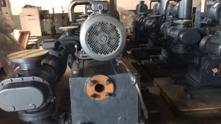 Bomba de vacío de CC Rotativa Portátil Industrial Mini desplazamiento de paletas Diafragma alternativo Centrífugo Desplazamiento positivo Los mejores proveedores Bomba de vacío de CA de CC